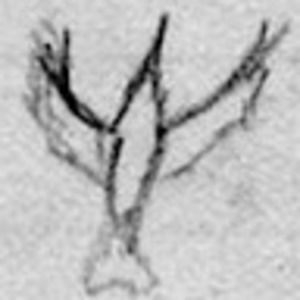 Meet your Posher, Thea